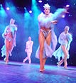 Showtänze, Tanzgruppen, Erotische Tanzshows, Brasilshows uvm.