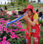 Clown Pipinelli auf der Bundesgartenschau in Heilbronn 