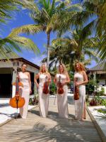 3+1 Quartett Berlin-Klassik, Jazz,Latin, Swing für Hochzeiten & Feiern