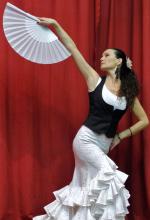 Flamenco Puro - Gesang - Flamenco-Tanzshow