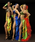 Divine-Dance Company: Salsa/ Brasil Samba/ Mambo/ Merengue/ Hip Hop