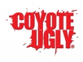 Coyote Ugly - das Original