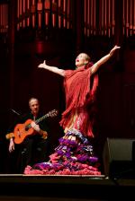 Agua y Vino: Flamencotanz, Gitarren, Spanische Folklore, Gesang